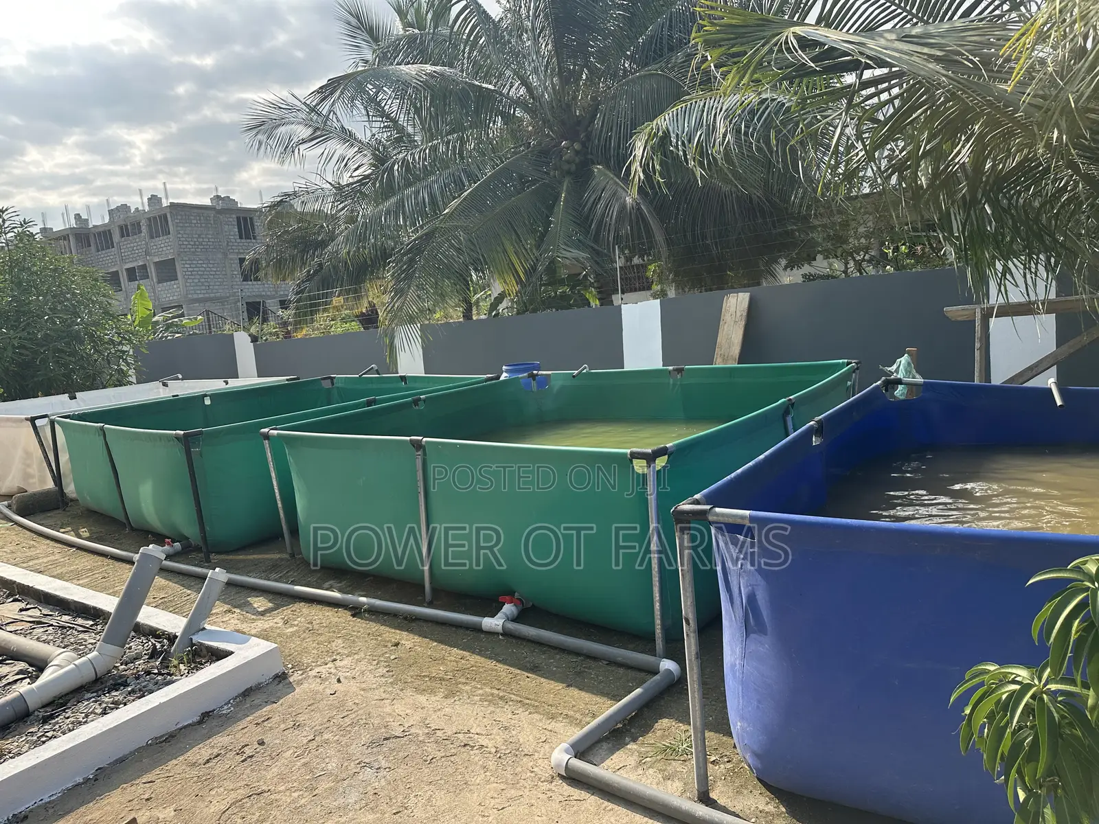 Fish Pond for Farming