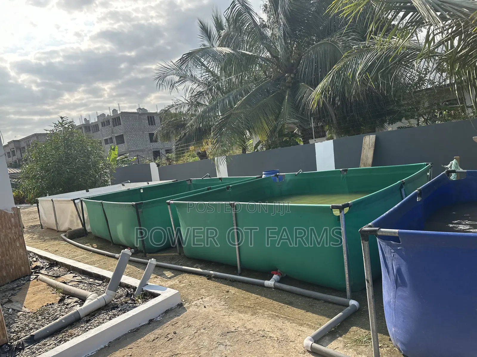 Fish Pond for Farming