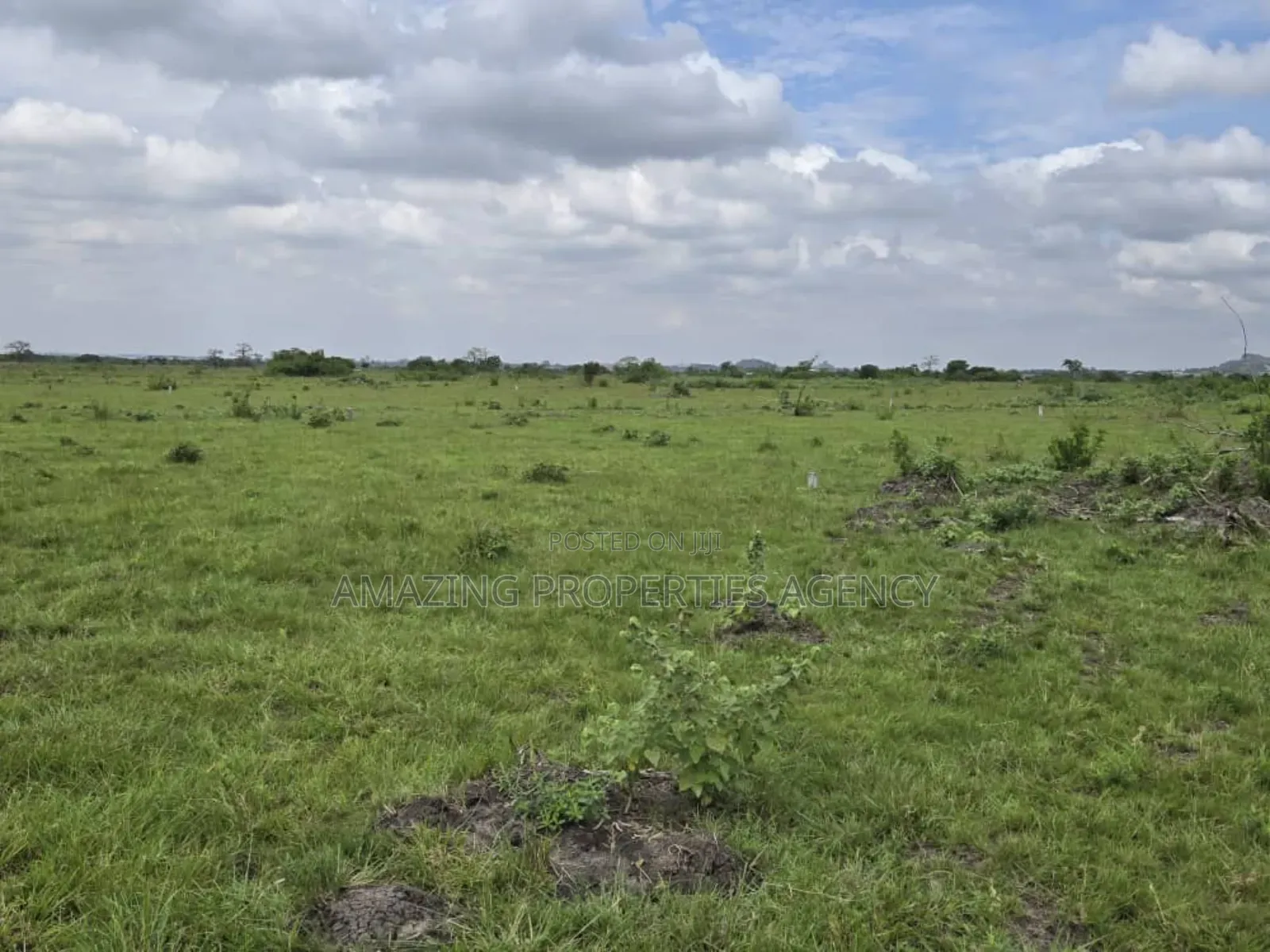 Vast Acres of Land at Shai Hills