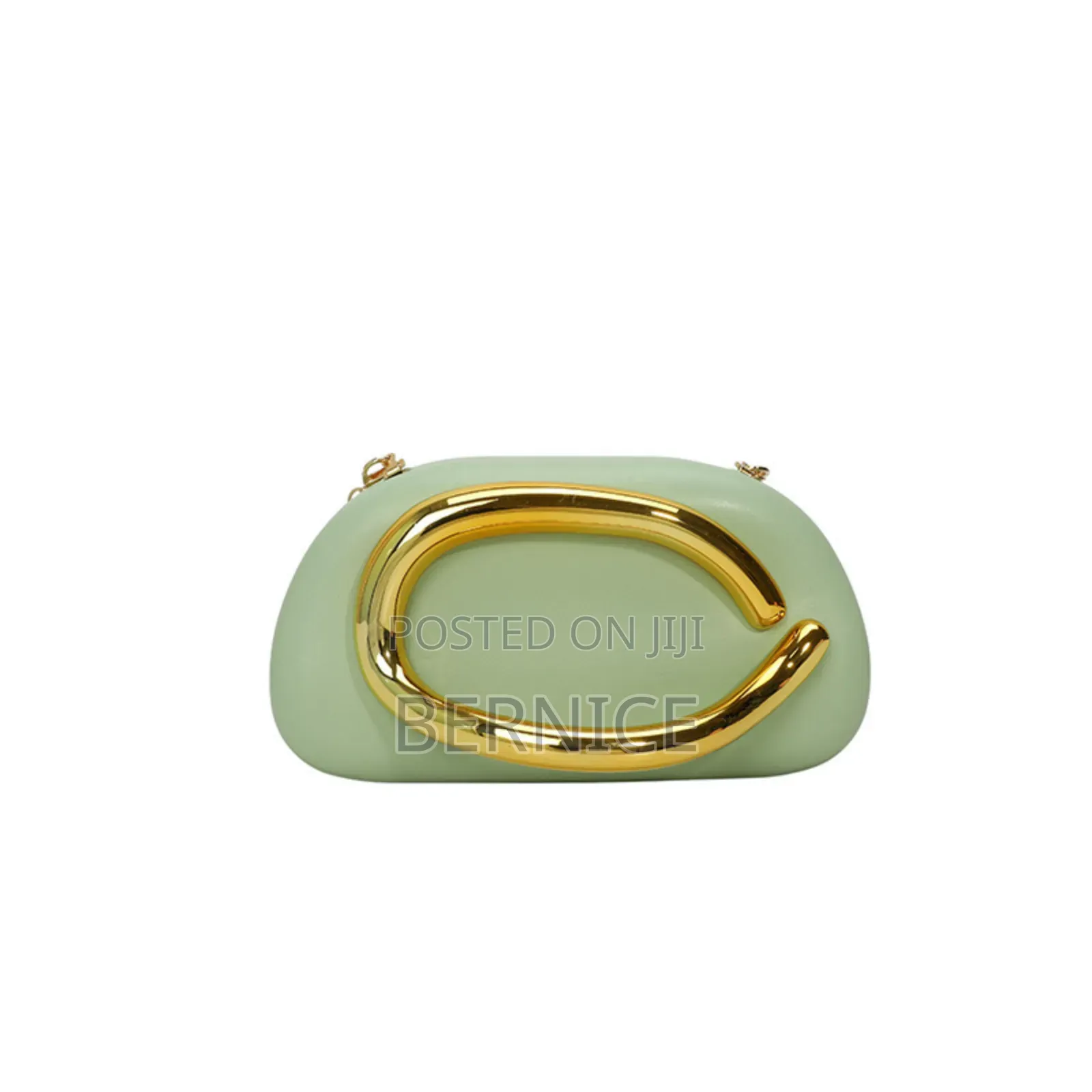 Elegant Designer Clutch Bag