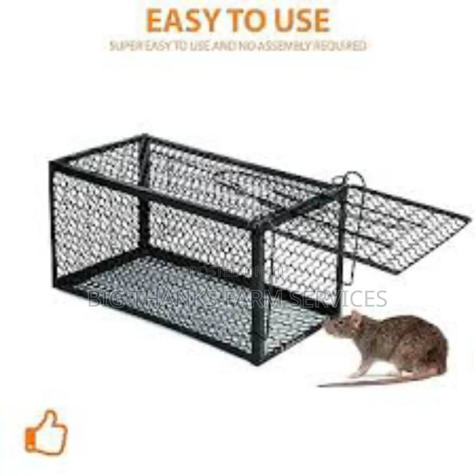 Mouse, Rats Traps