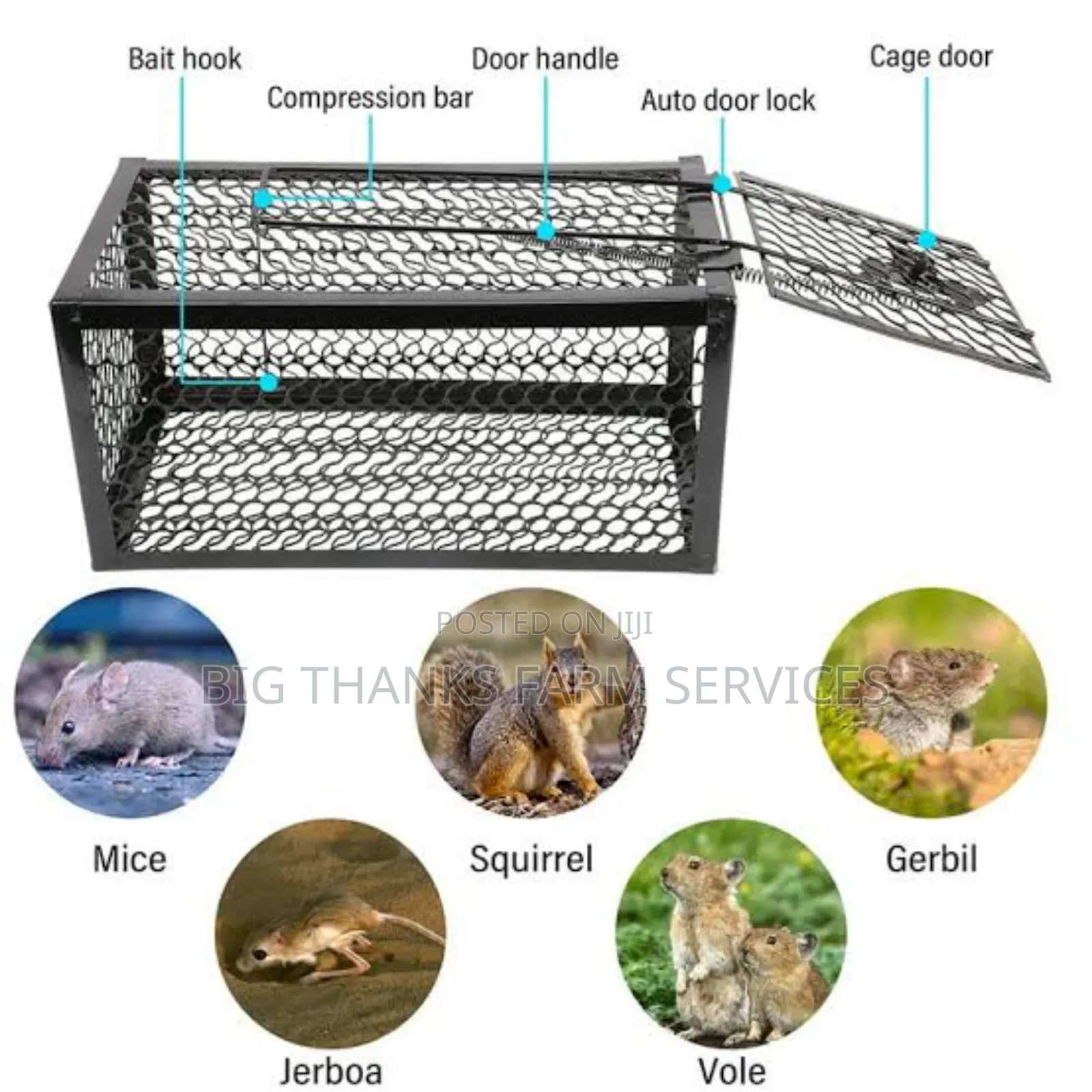 Rodents  Cage Type Traps