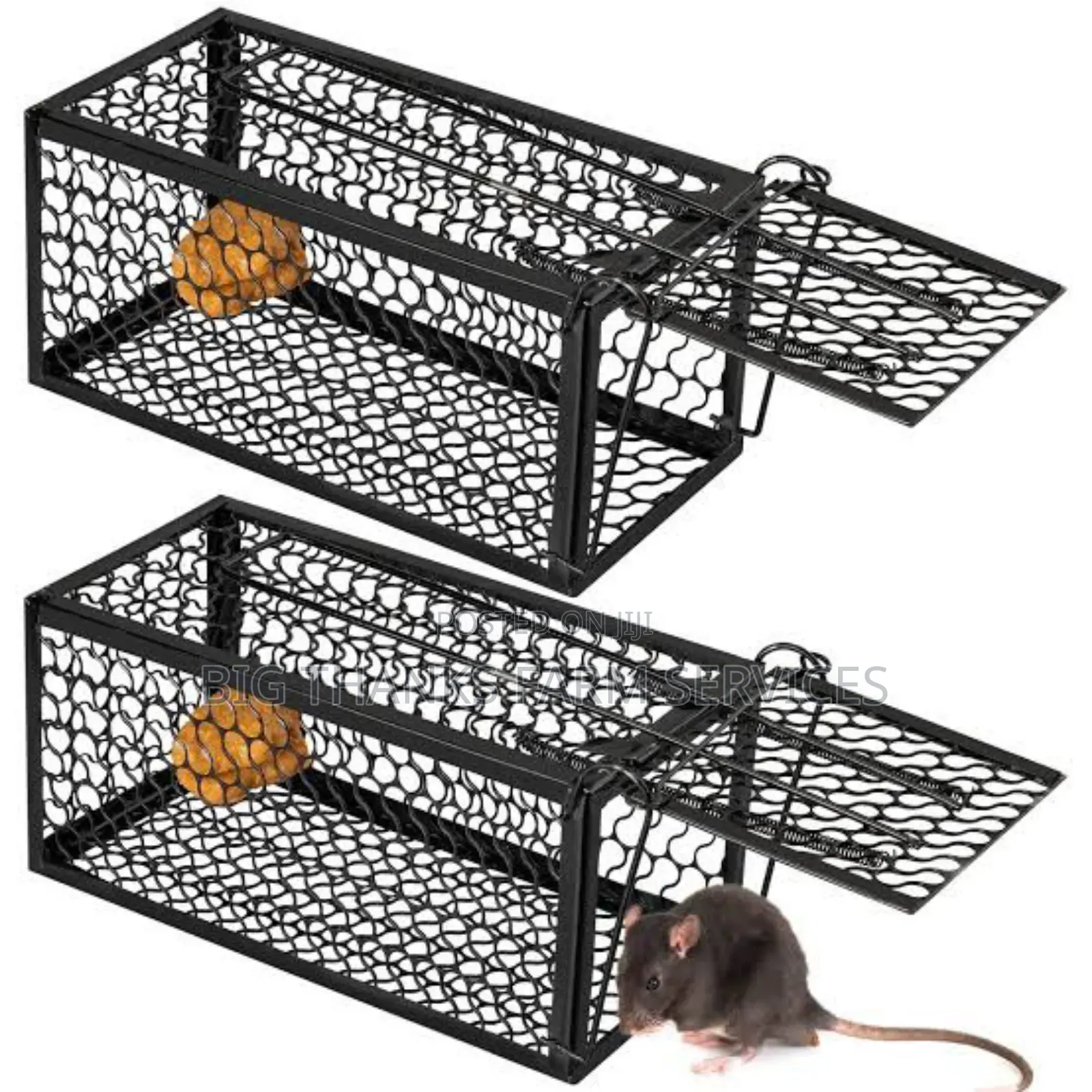 Rodents,Mouse, Traps Of Different Sizes
