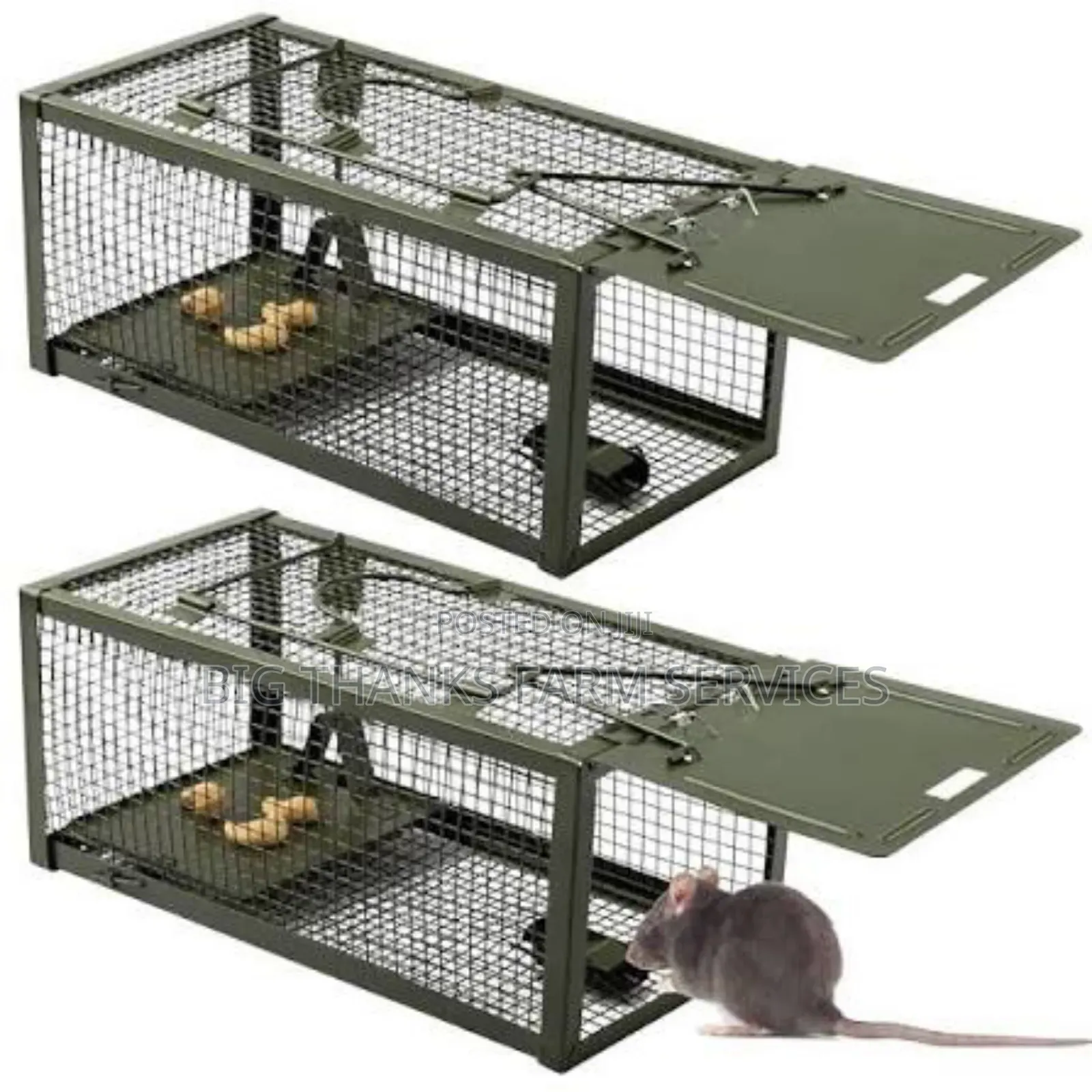Rodents(Mouse,Rats,Lizard Etc) Traps