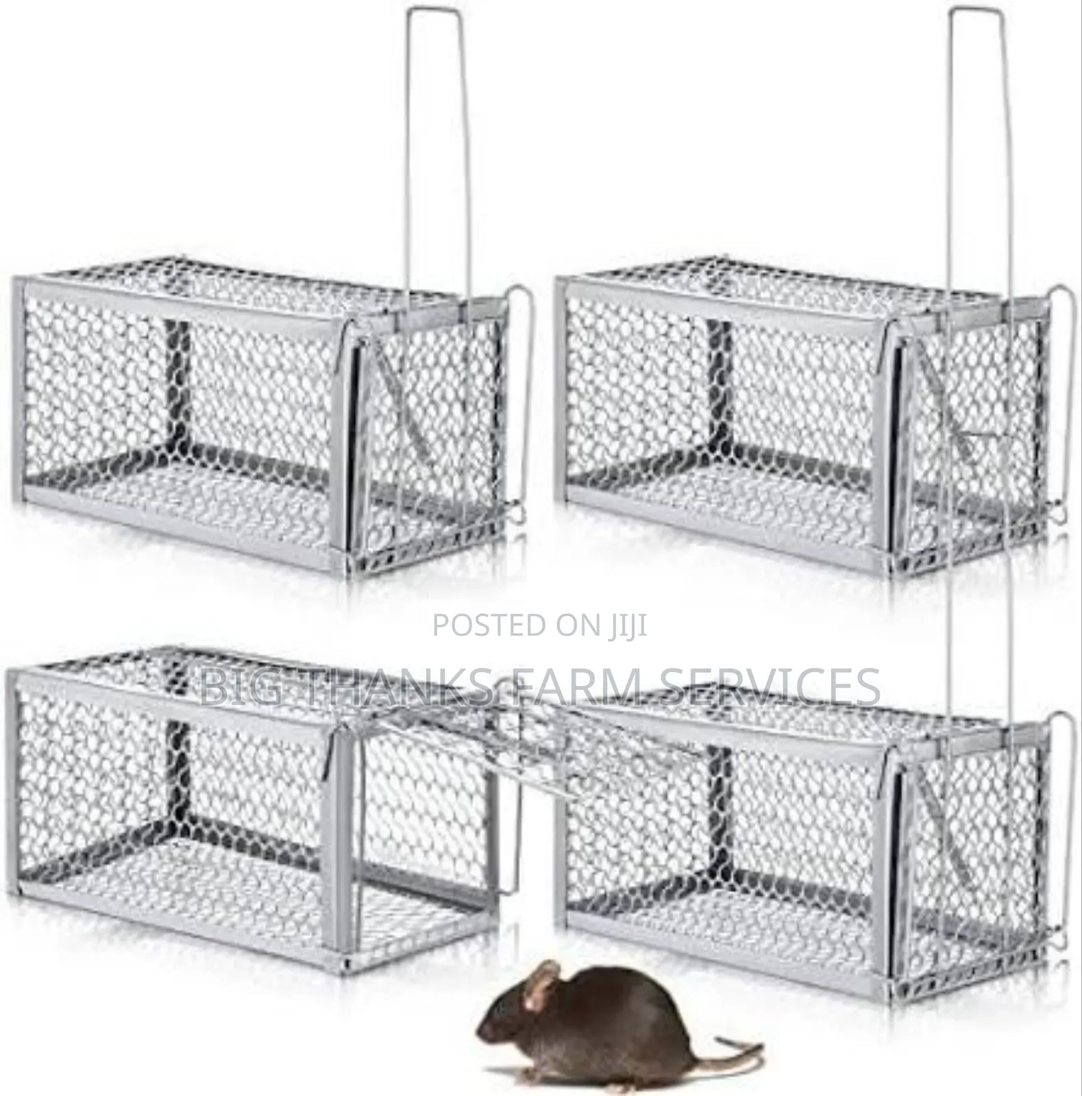 Rodents(Mouse,Rats,Lizard Etc) Traps