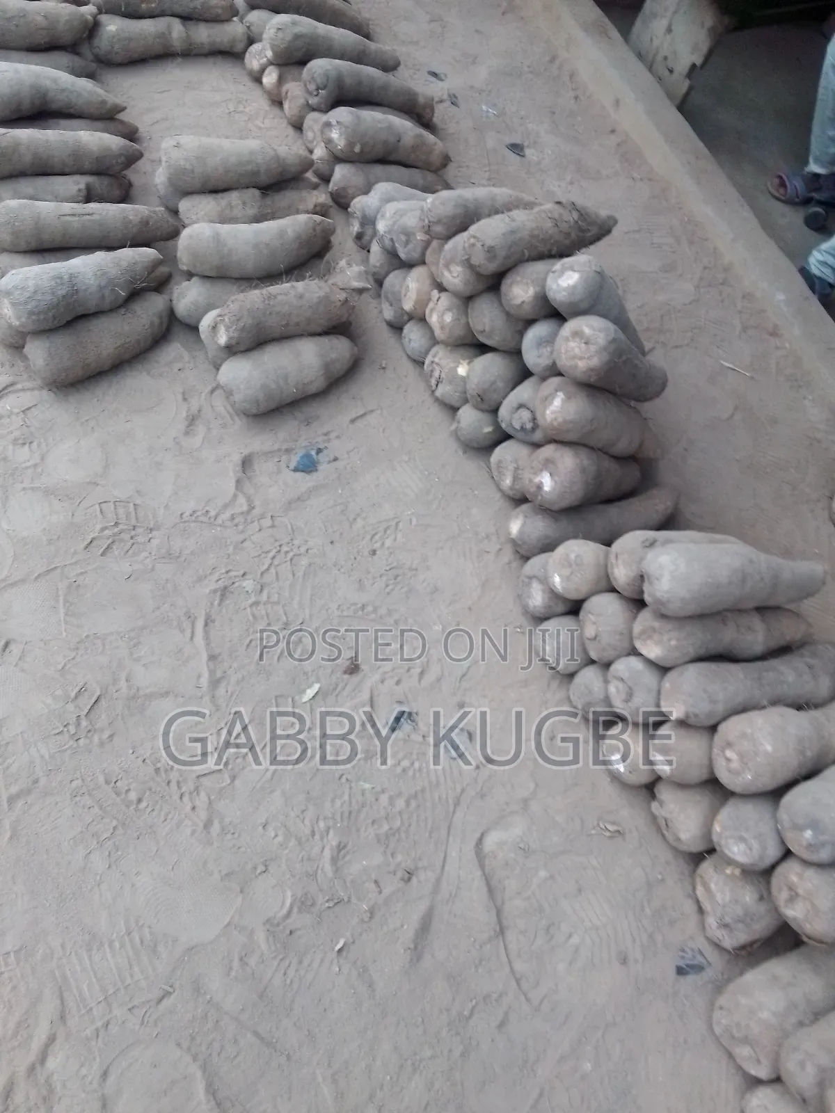 Fresh Yam for Everyone