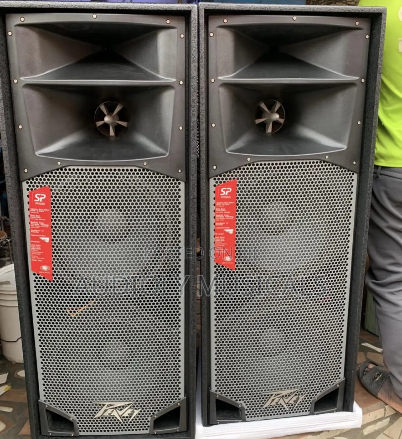 Spider/Peavey Full Range Speaker (Pair)
