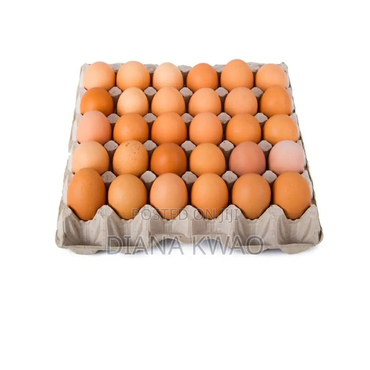 Eggs for Sale
