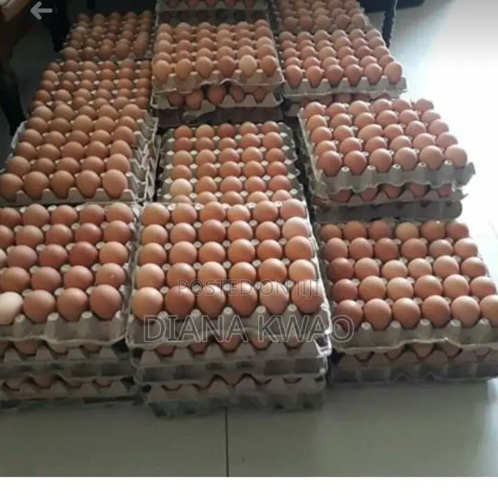 Eggs for Sale