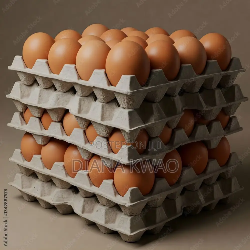 Eggs for Sale