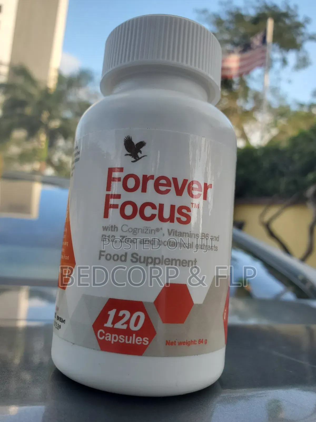 F54 Forever Focus
