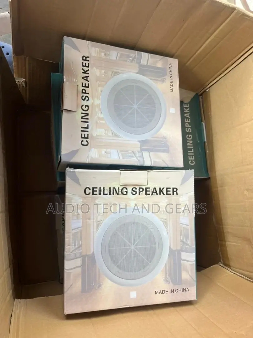 Ceiling Speaker