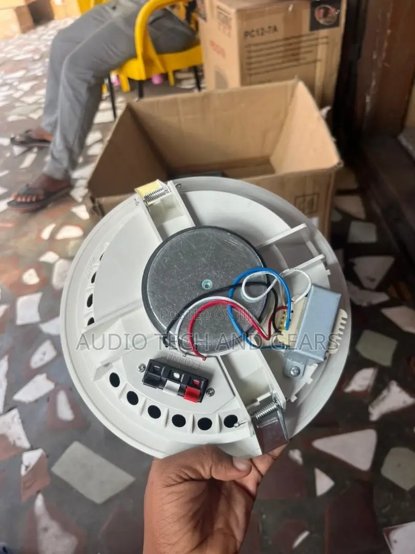 Ceiling Speaker