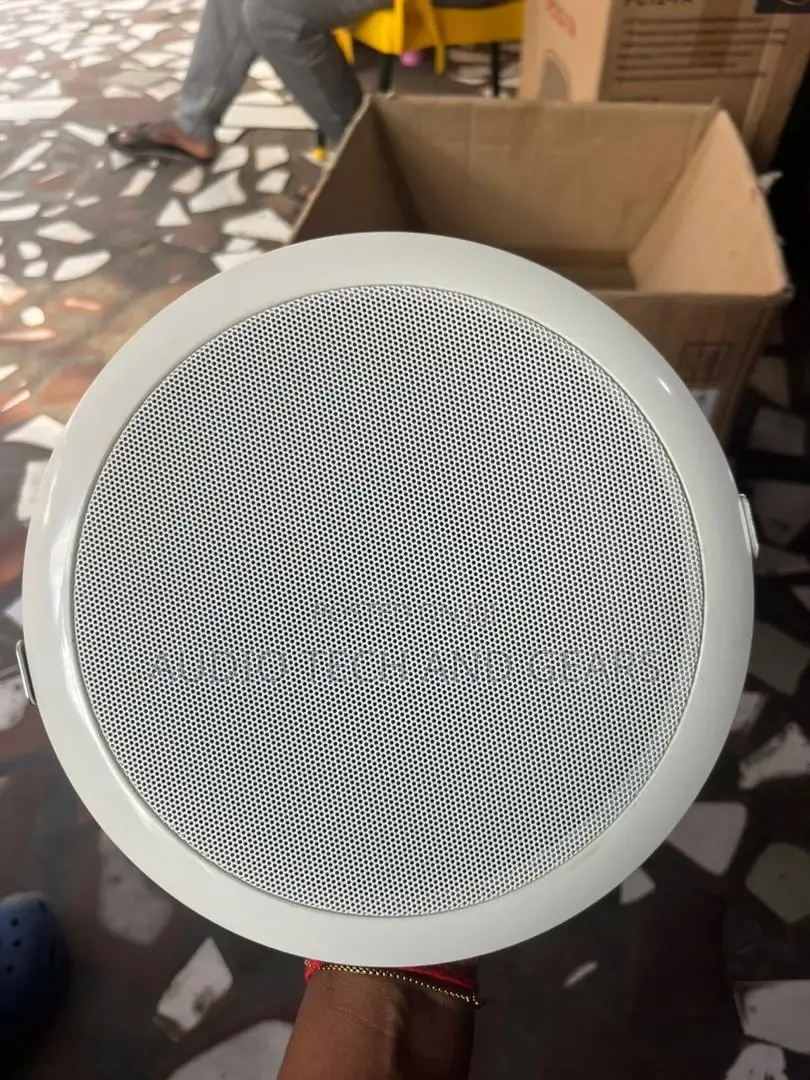 Ceiling Speaker