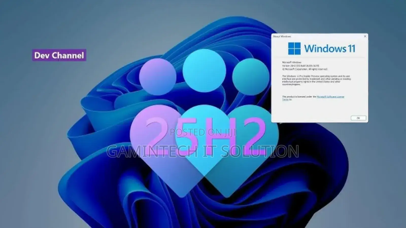 Windows Installation