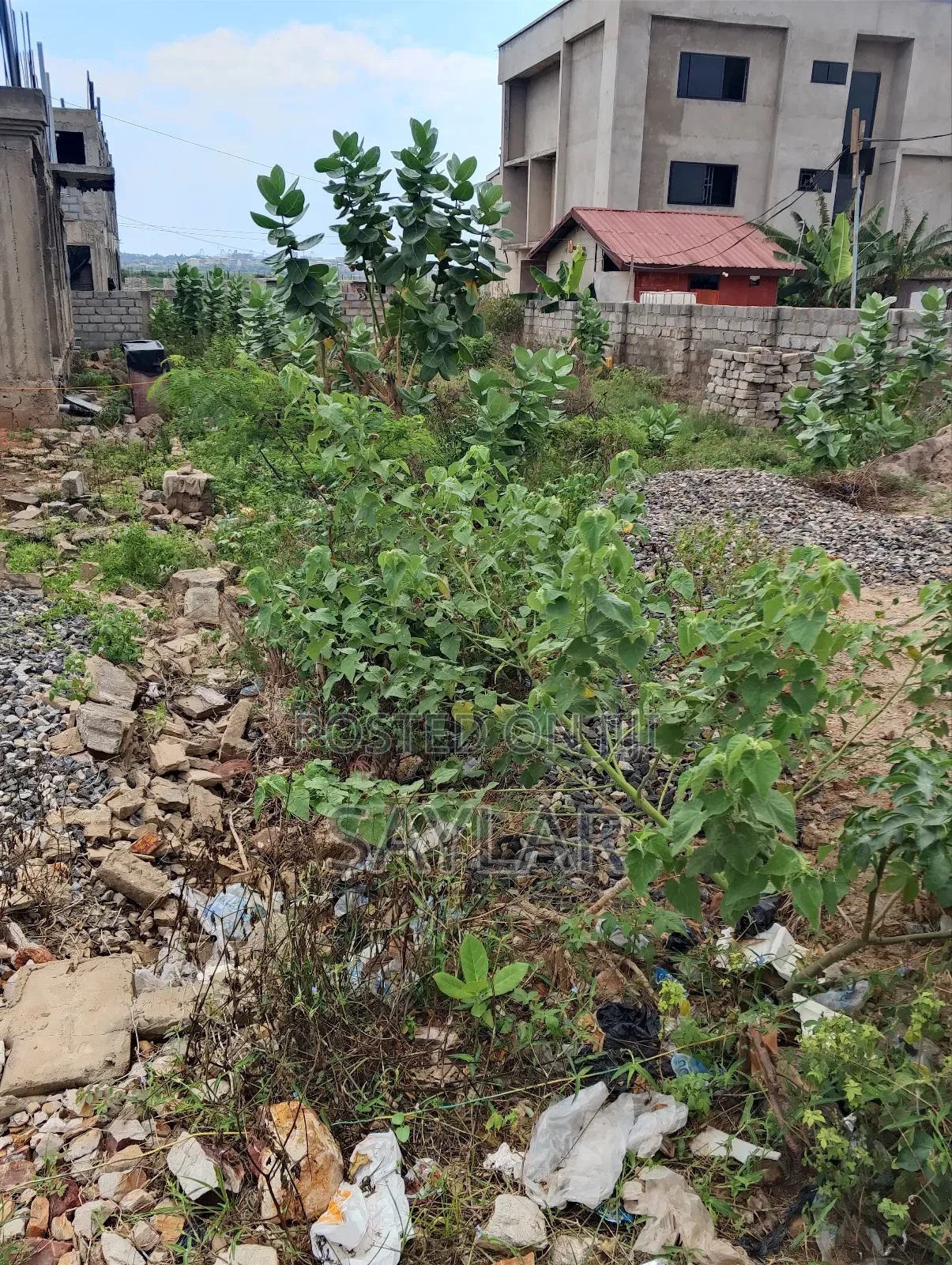 Half Plot for Sale Close to Mf Estate Lashibi