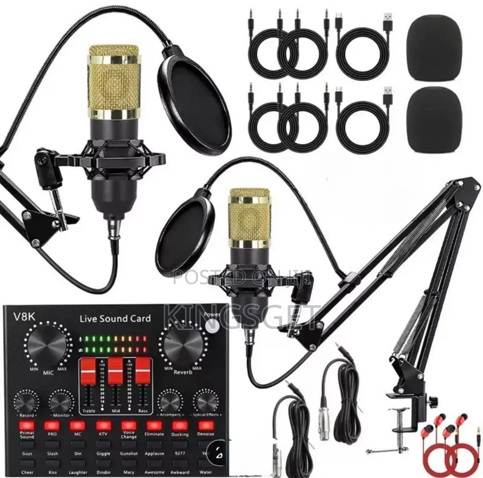 2 In 1 Double Professional Condenser Microphone