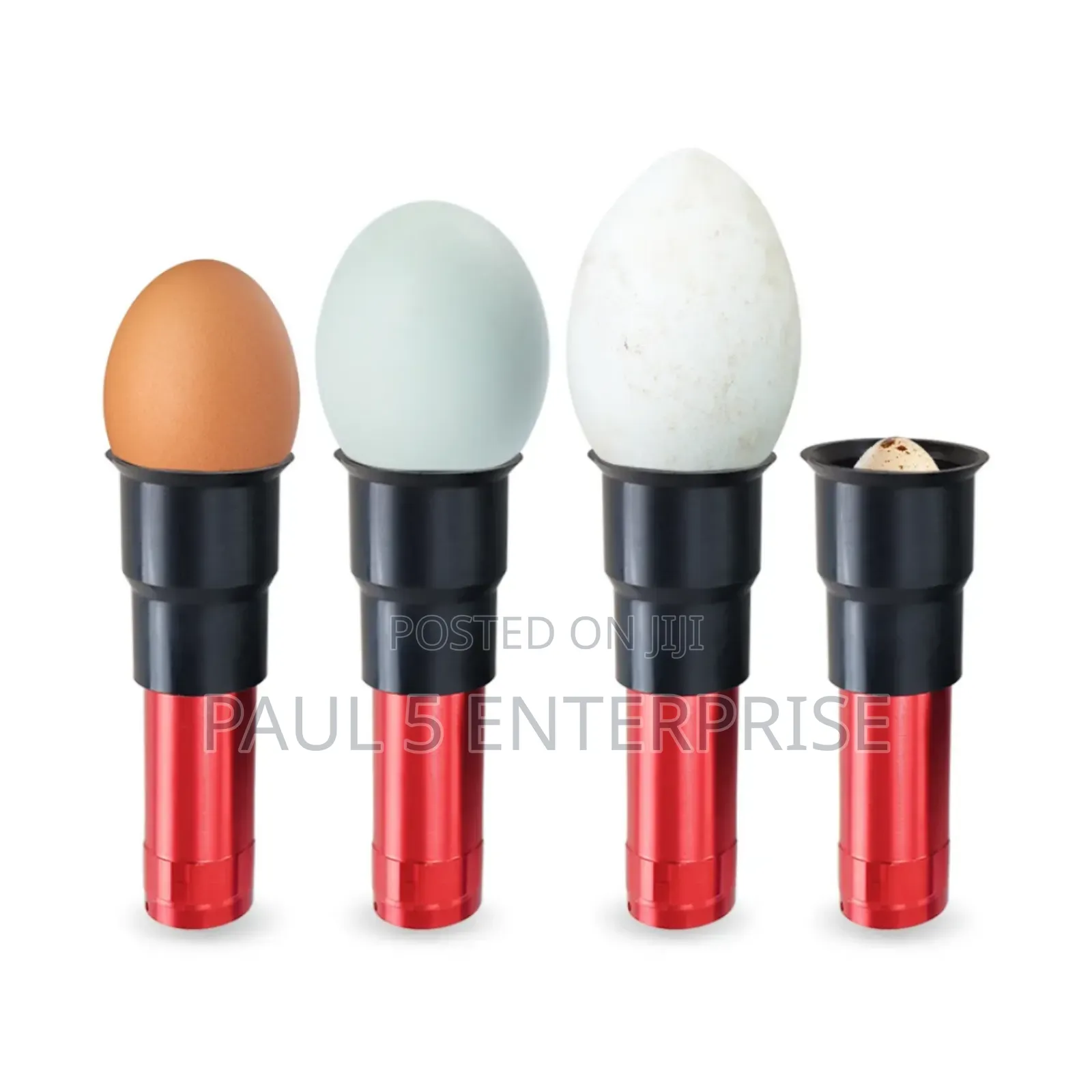 Egg Candler Wholesale and Retail