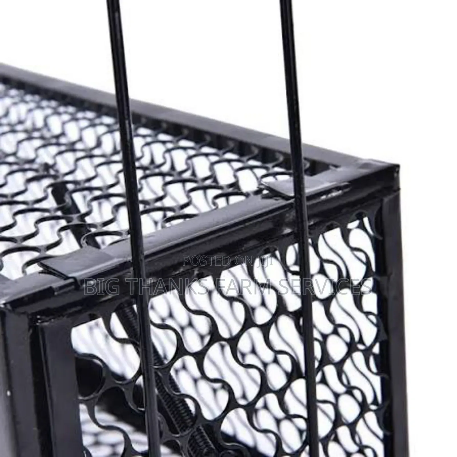 Effective Cage Traps For Different Animals