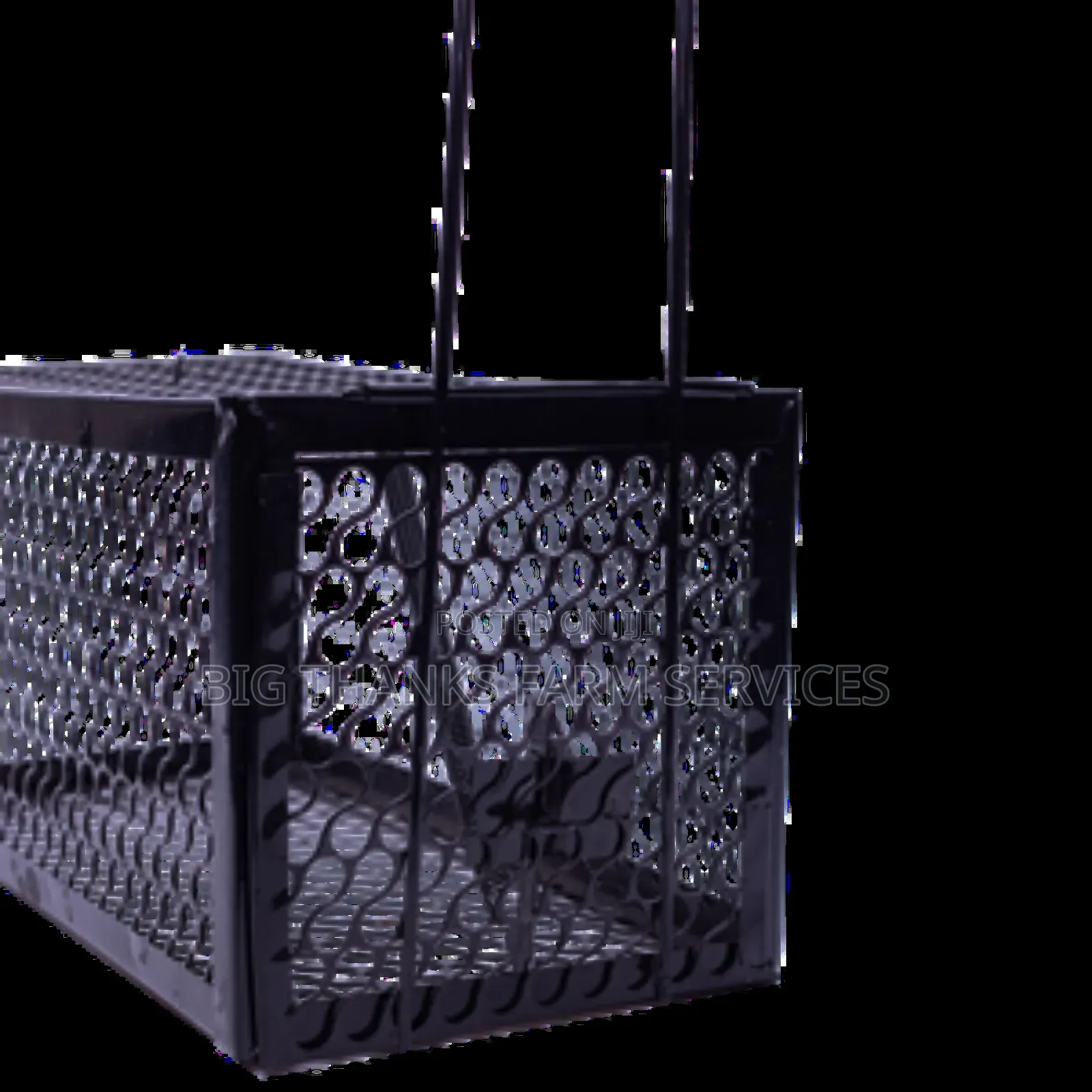 Effective Cage Traps For Different Animals