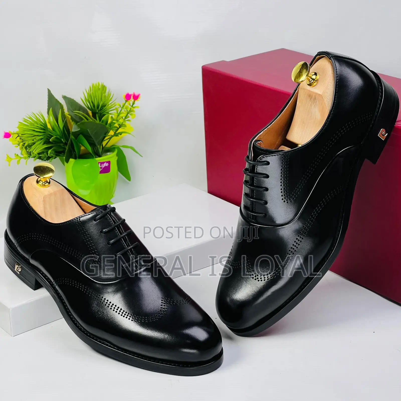 Pierre Cardin Black Men’S Leather Lace Shoe