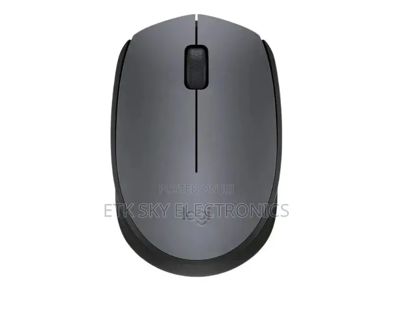 Logitech Wireless Mouse M171