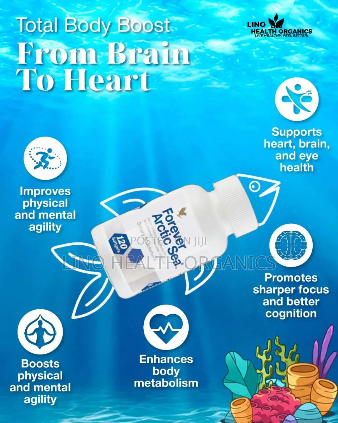 Forever Arctic Sea | Heart, Brain, Eye Health Support | Omega-3 Fish