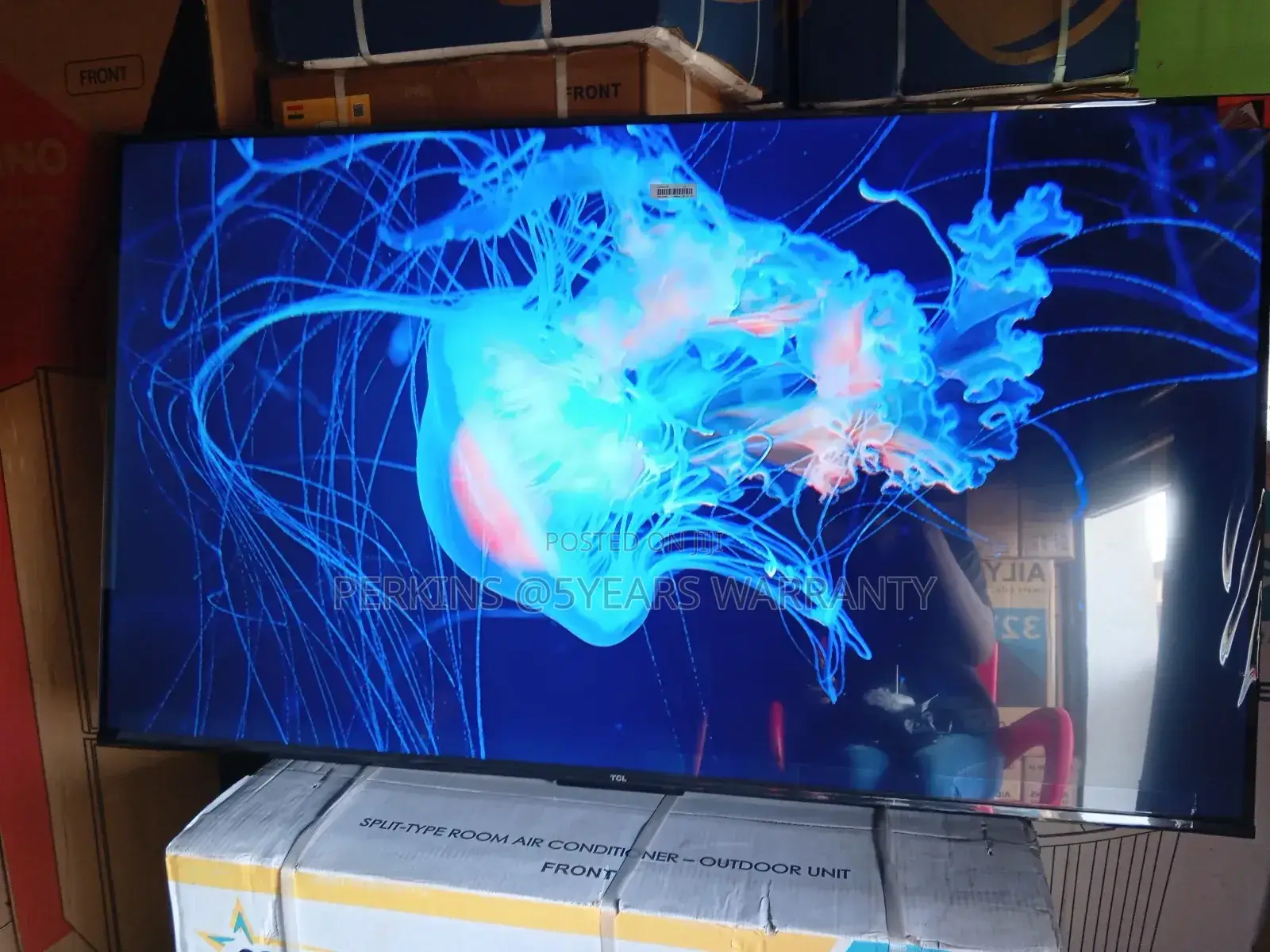 Experience the Future of Entertainment With TCL 55 Smart Tv