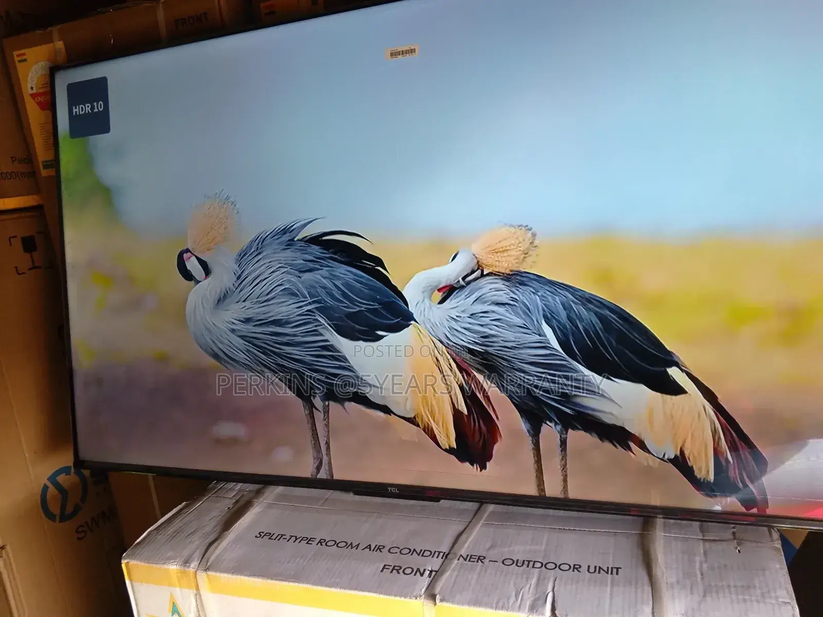 TCL 55 Qled Parental Controls for Safe and Secure Viewing Environment