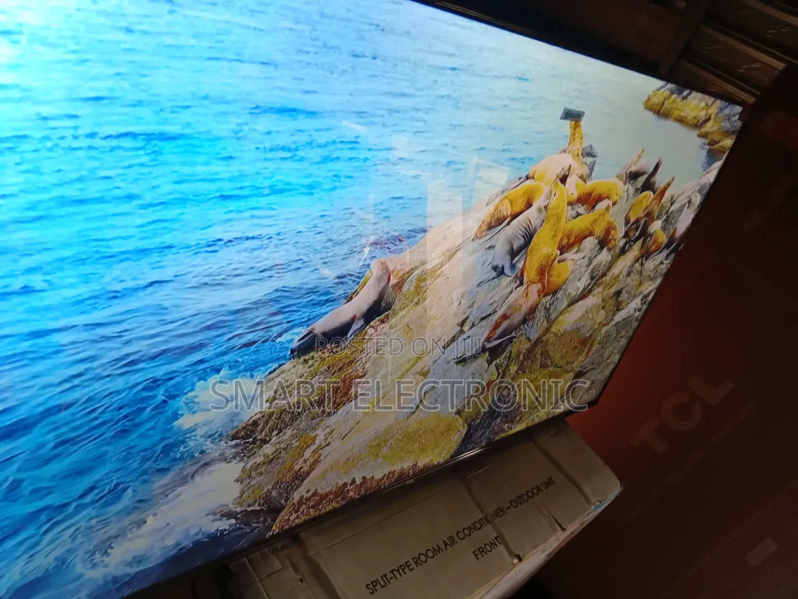 TCL 55” Smart Tv With Hdr10 – Vibrant and Lifelike Display