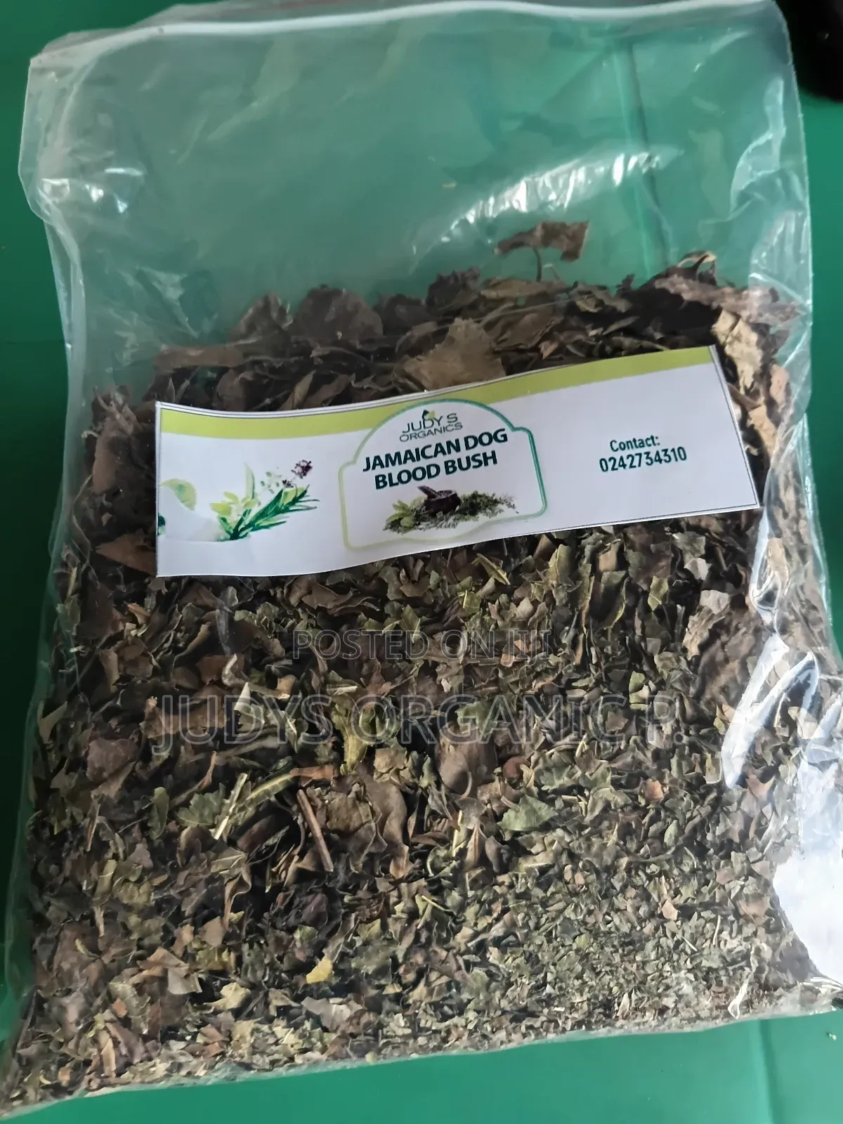 Jamaican Dog Blood Bush Herbs (Fertility, Cyst, Prostate in Men)