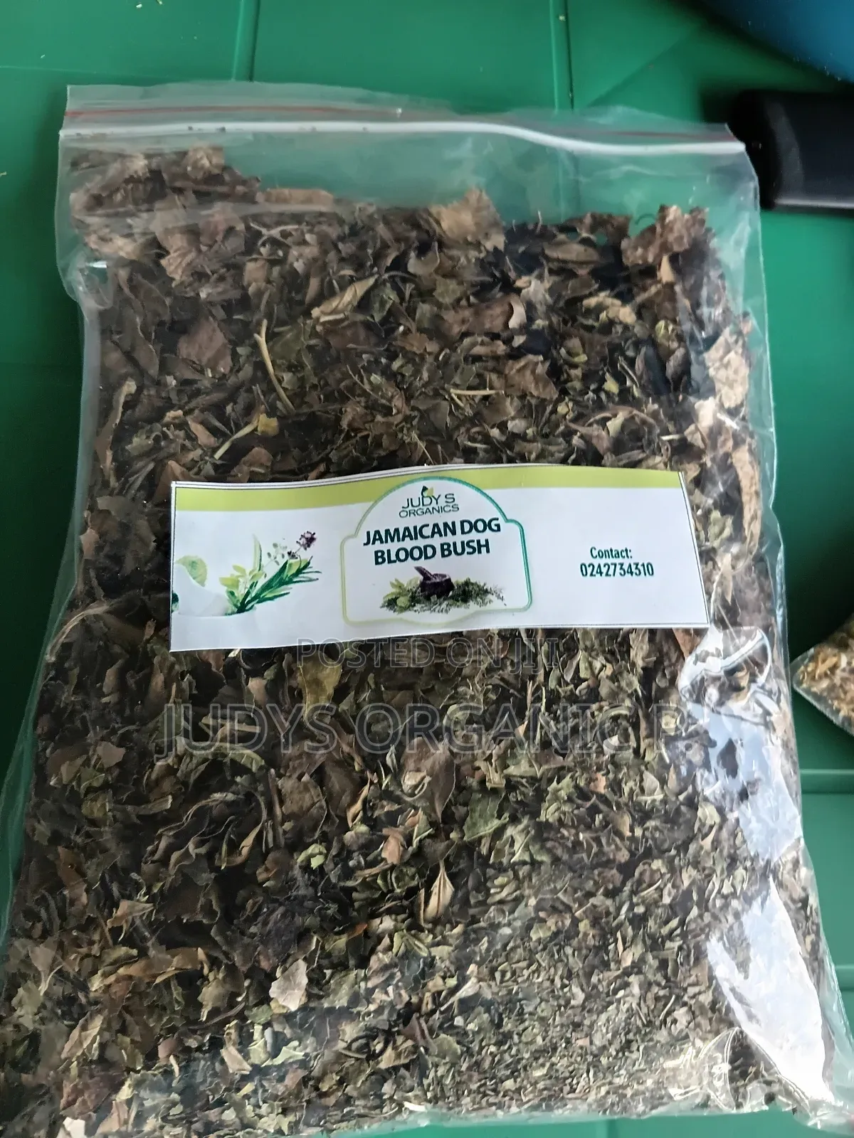 Jamaican Dog Blood Bush Herbs (Fertility, Cyst, Prostate in Men)