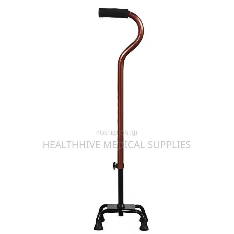 Walking Stick/Quad Cane