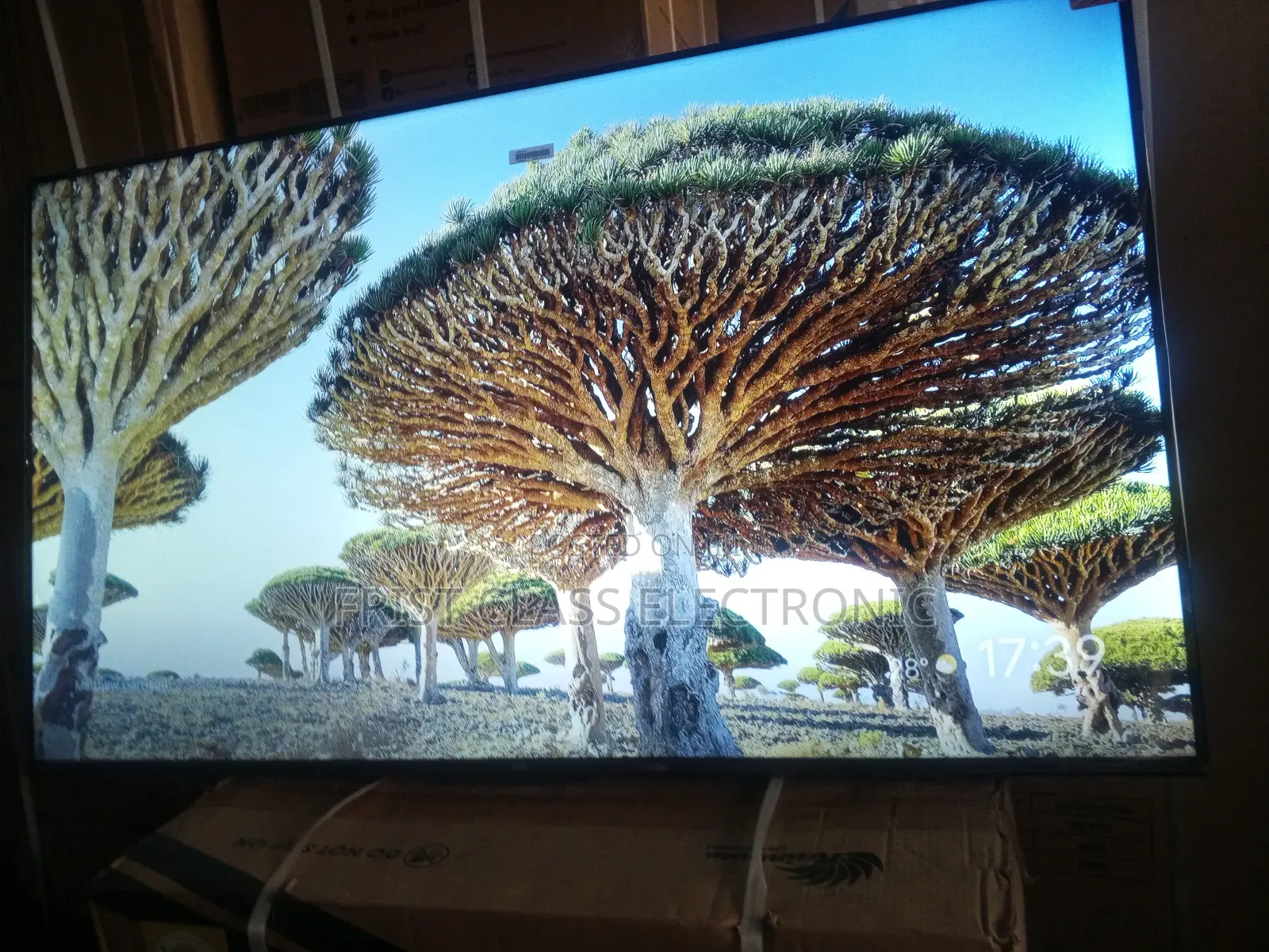 Viewing Perfection With TCL