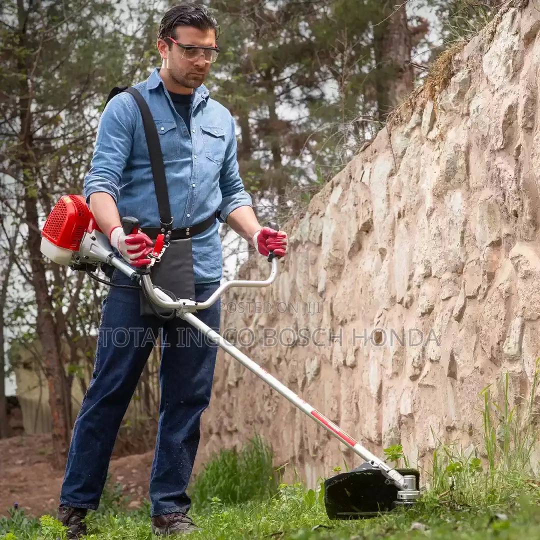 Grass Trimmer 4 in 1 Multifunctional Bush Cutter(Ecoolmax)