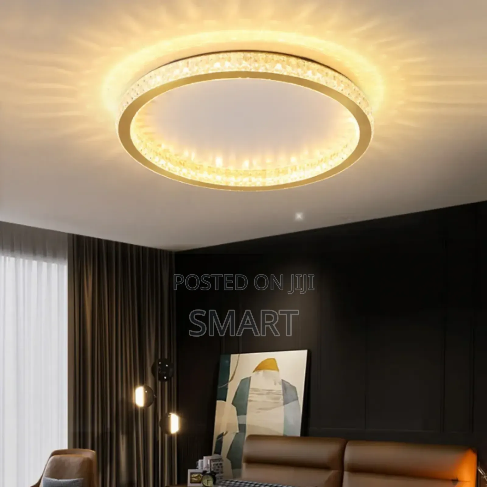 Luxury Decorative Simple Led Round Ceiling Light