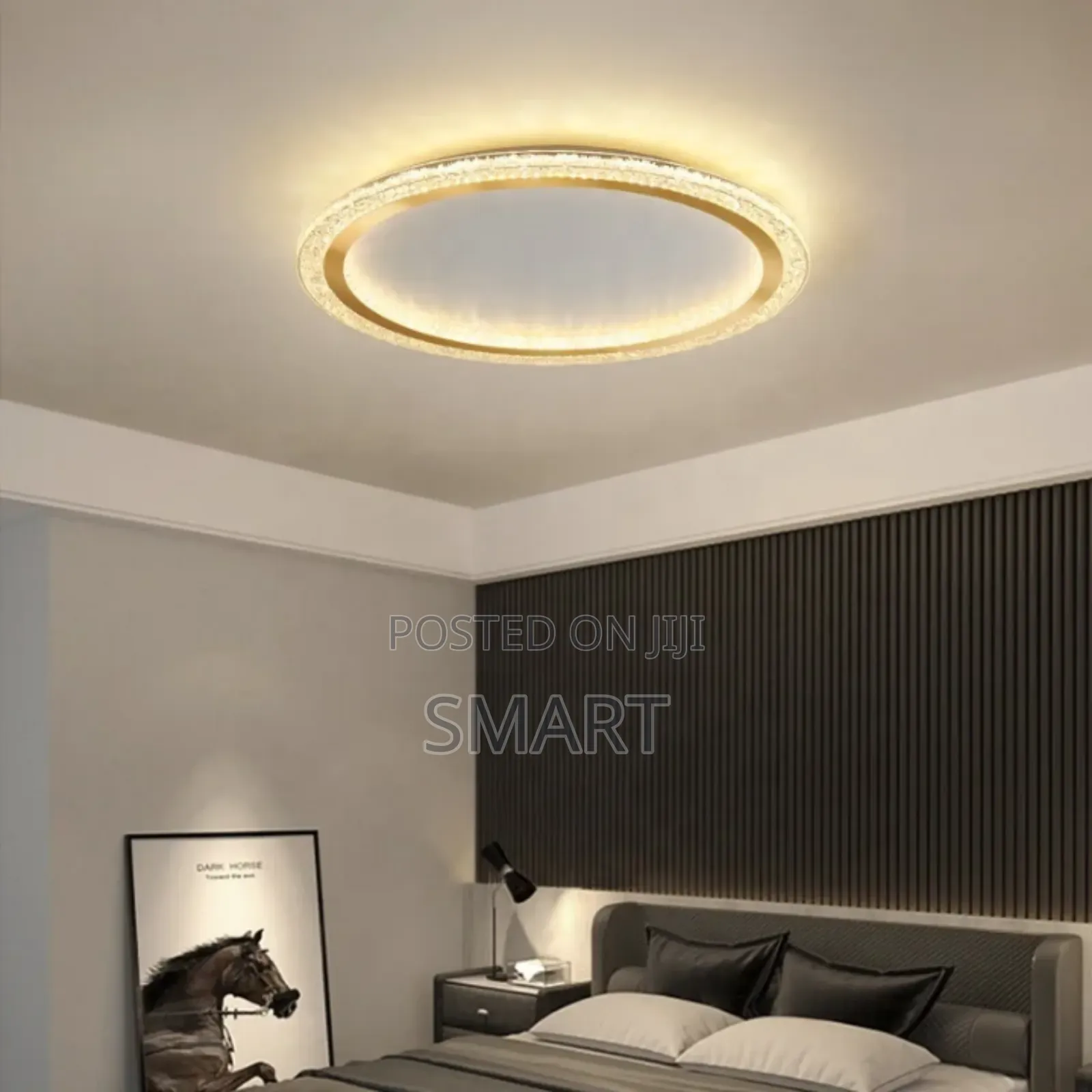 Luxury Decorative Simple Led Round Ceiling Light