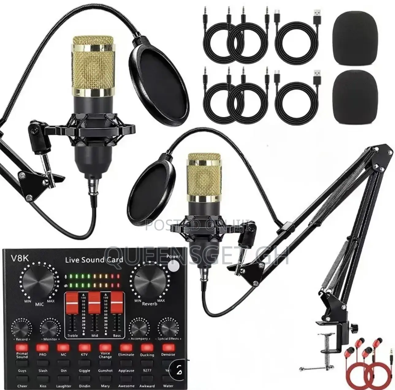 2 In 1 Double Professional Condenser Microphone