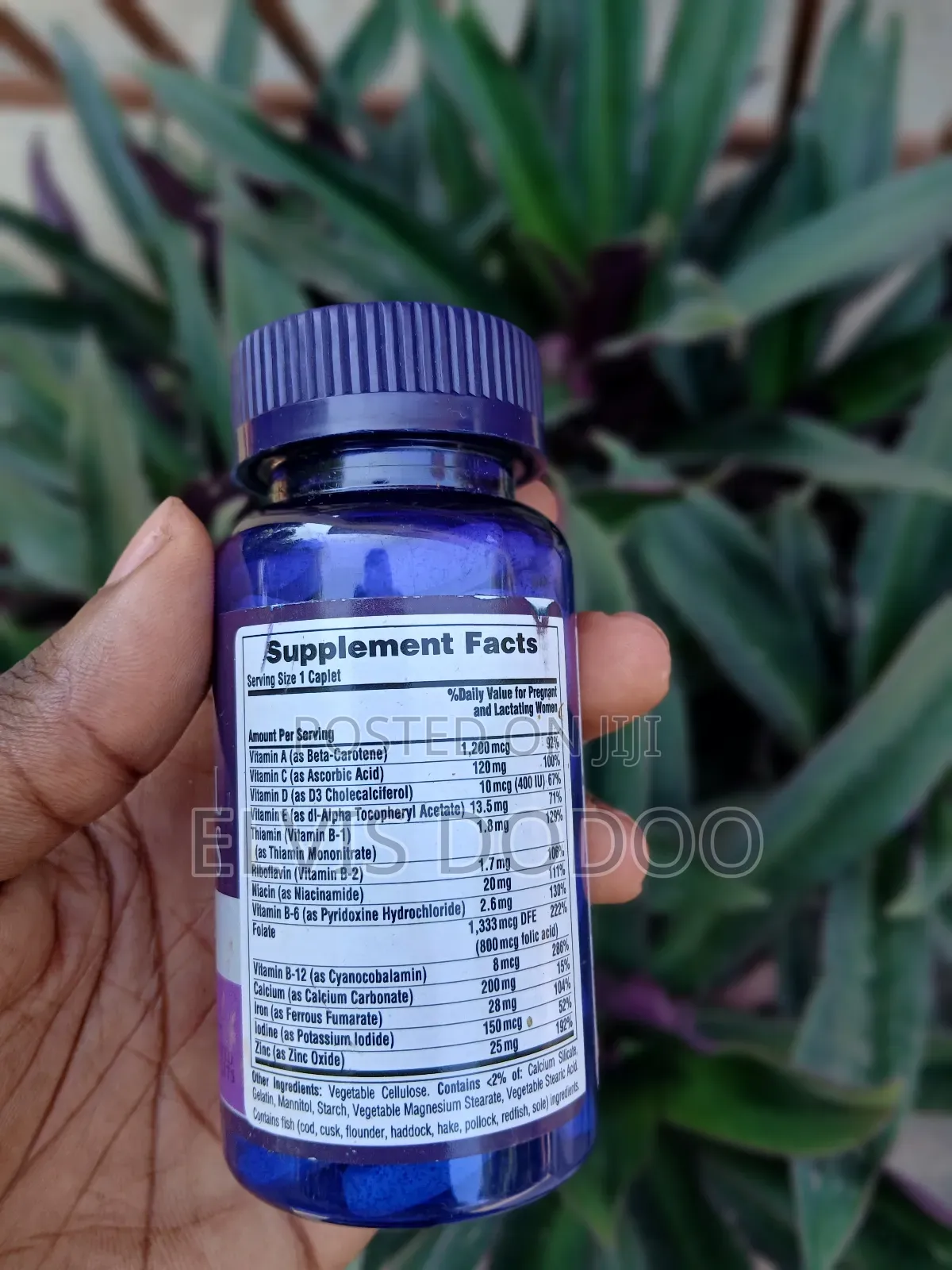 Prenatal Vitamins (100 Caplets)
