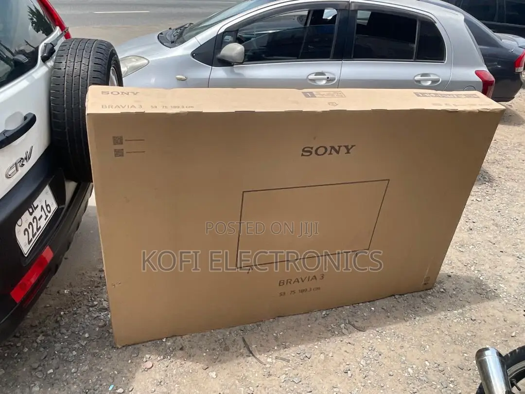 Sony Bravia Ascendant the Future Rendered in Google Tv