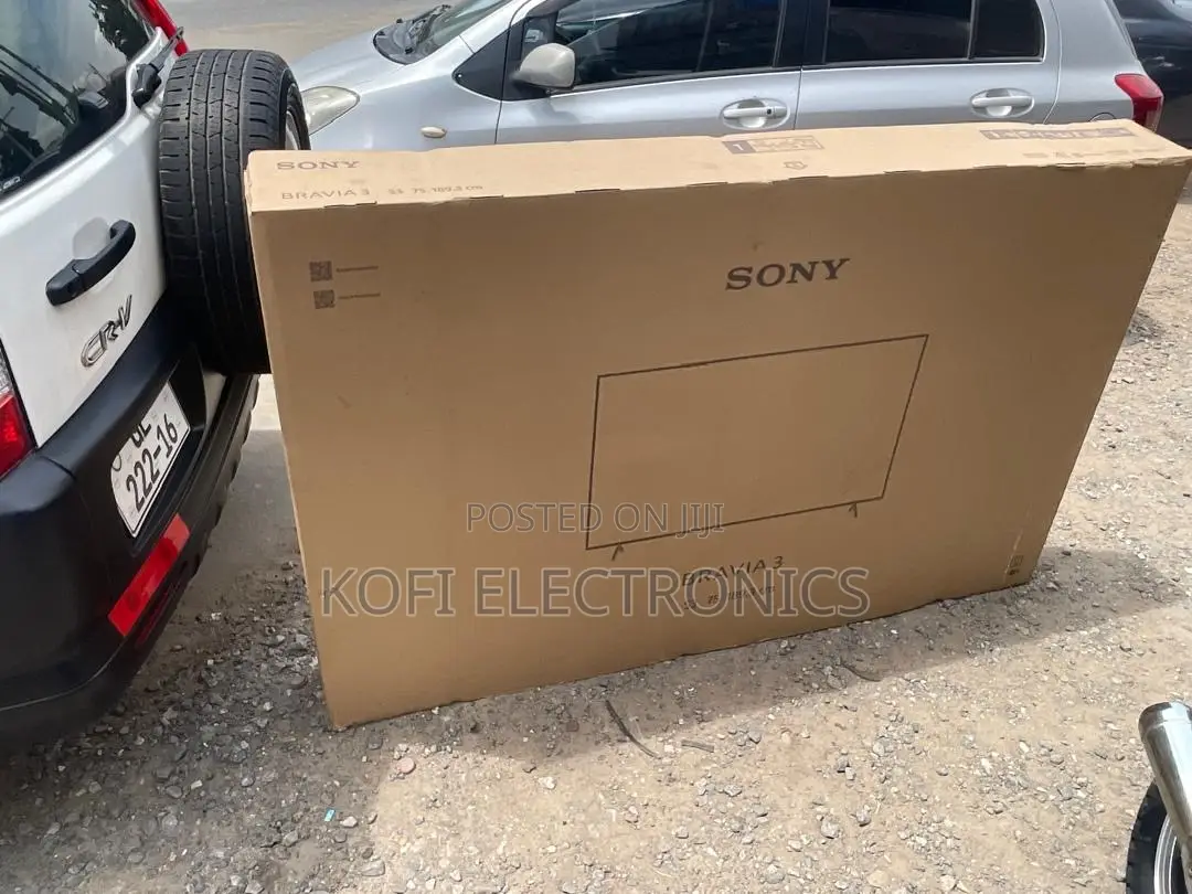 Sony Bravia Ascendant the Future Rendered in Google Tv