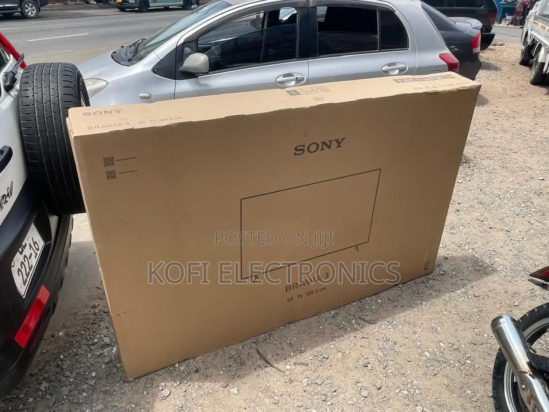 Luminous Leviathan the Sony Bravia 3 Tv