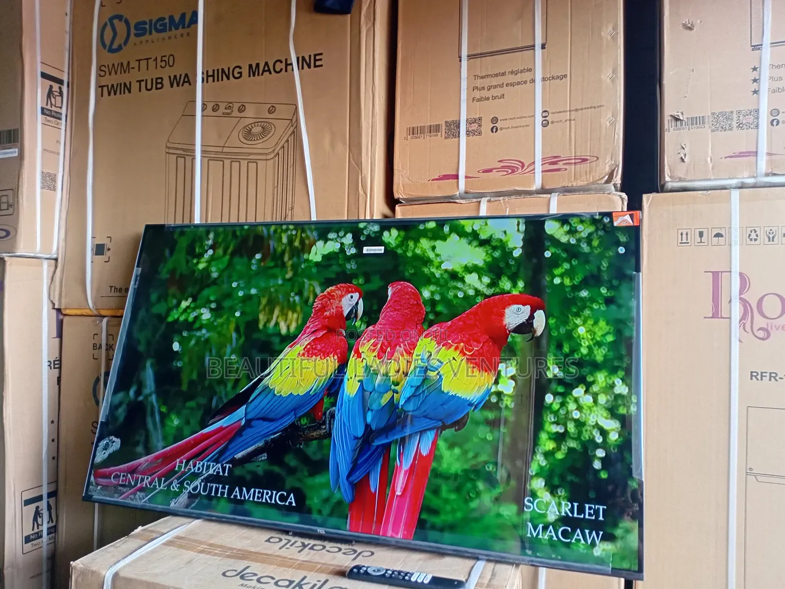TCL 55-Inch Full Hd Tv – Sleek Design, Powerful Performance