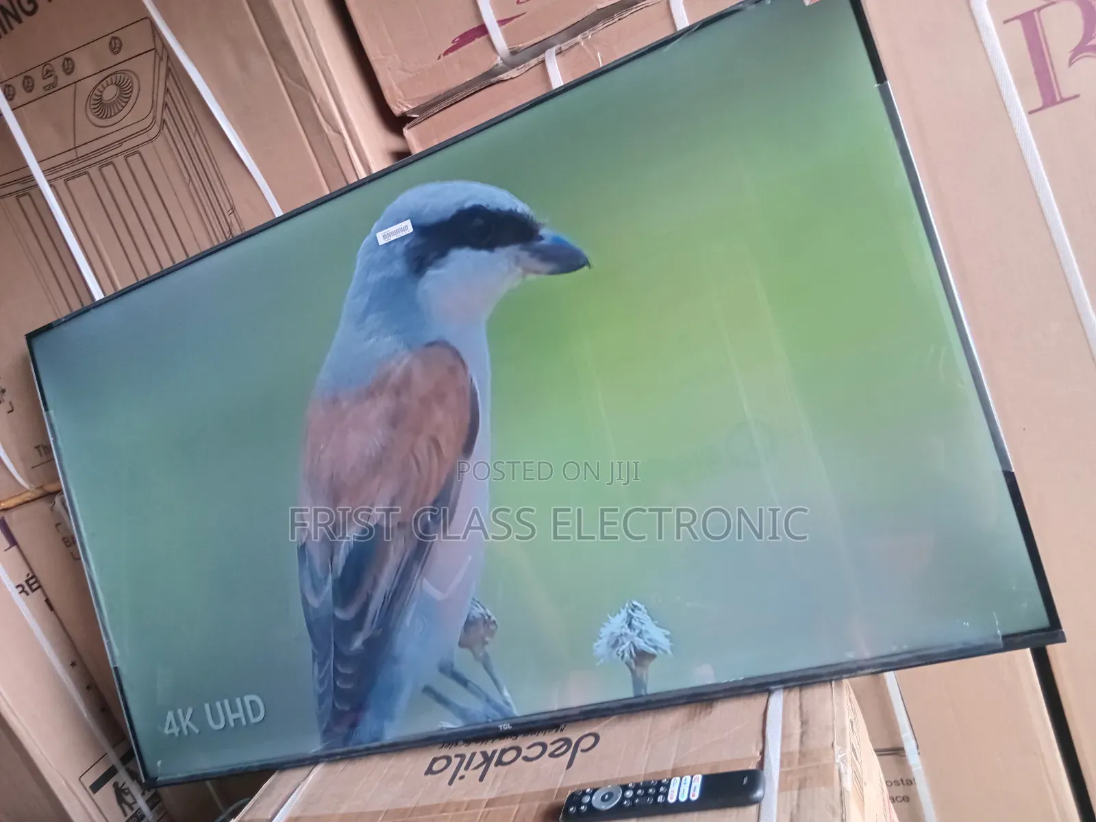 Big Screen, Bold Visuals — TCL 55 Inches Smart Tv Delivers It All.