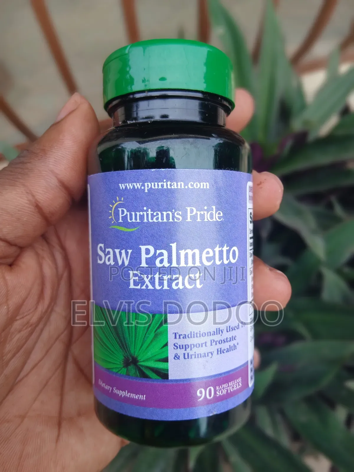 Saw Palmetto Extract (90 Sofgels)