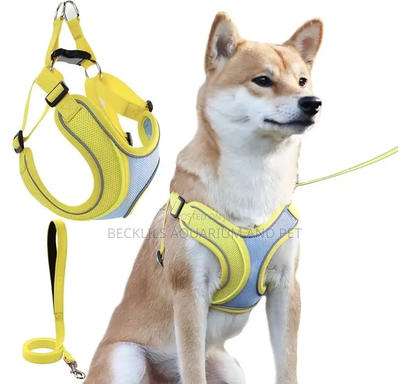 Quality Harness With Leash
