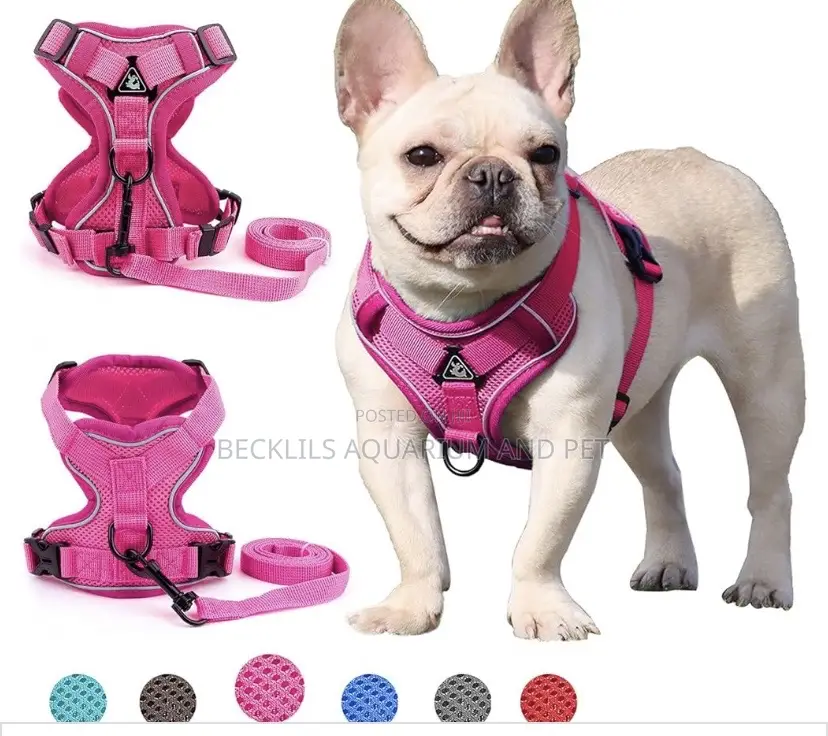Grade a Quality Dog Harness