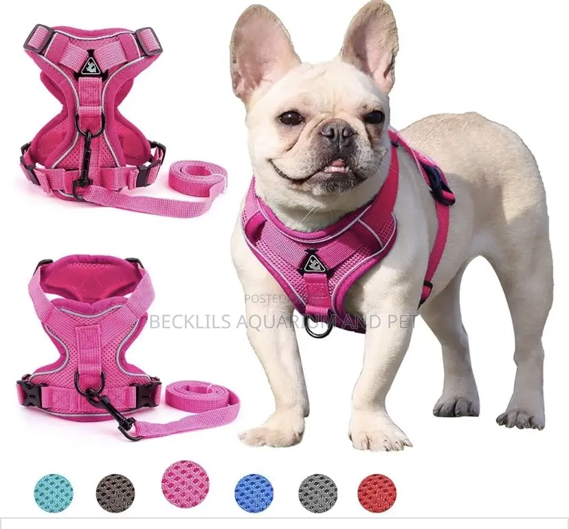 Grade a Quality Dog Harness