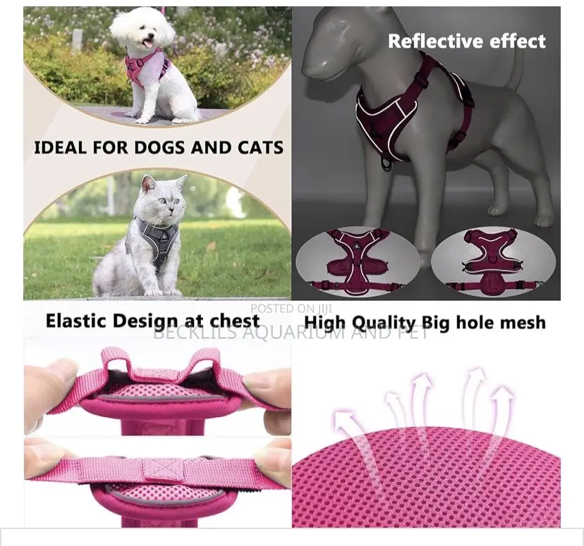 Grade a Quality Dog Harness