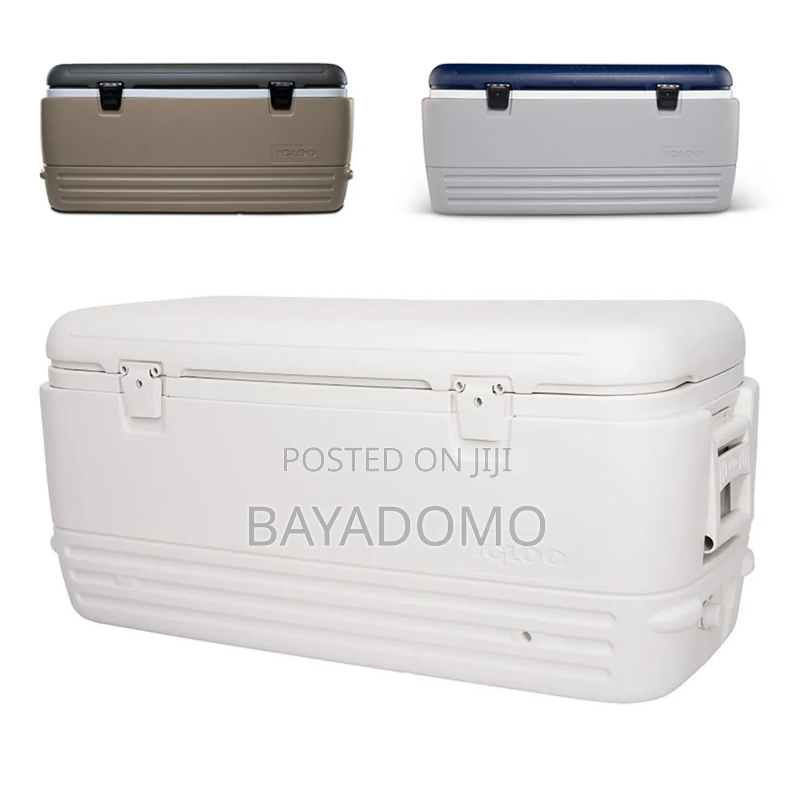 White Ice Chest Igloo: Rent